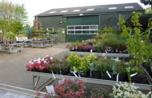 Tuincentrum met hoveniersbedrijf